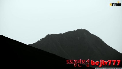 16년토토총판모집bejtv777#스포츠토토#사다리#총판구함4