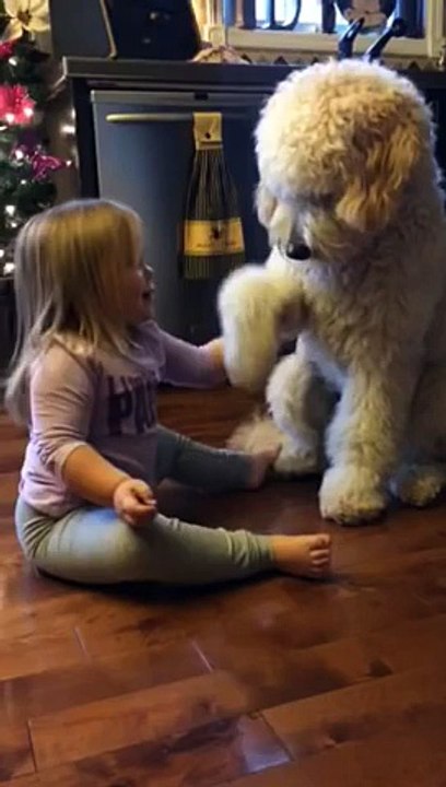 Cute little Girl teaches Dog how to shake and f...
