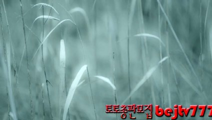 16년토토총판모집bejtv777#스포츠토토#사다리#총판구함5