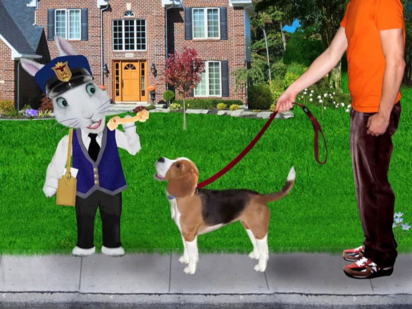 ⁣Pets Video - Hooked on Phonics Learn to Read Pre-K