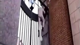 100ft jumping monkey and boy on difference