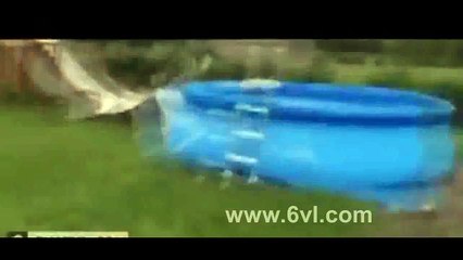 Pha nghịch ngu cực thốn