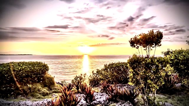 Hozan Sedat - Le Le Daye 2015 HD - KURDISH MUSIC 2015 - KÜRTÇE MÜZİK 2015 - MUZIKA KURDI 2