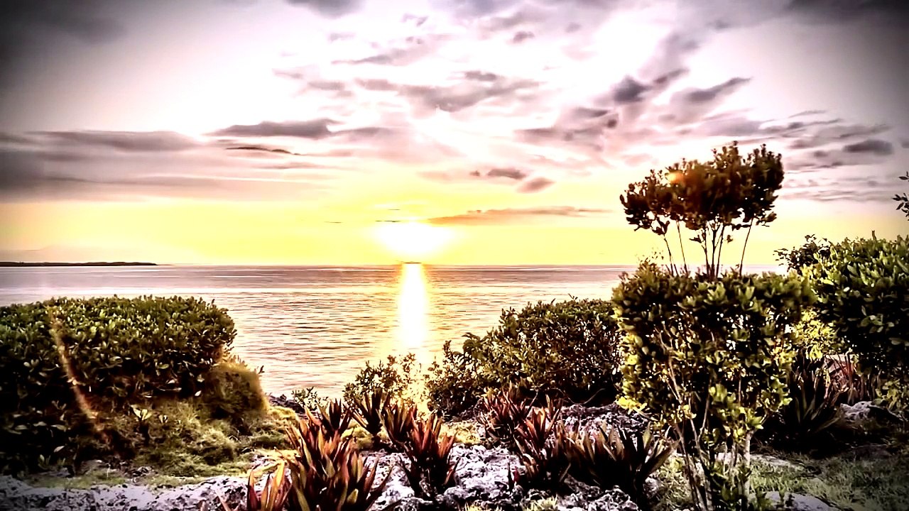 Hozan Sedat - Le Le Daye 2015 HD - KURDISH MUSIC 2015 - KÜRTÇE MÜZİK 2015 - MUZIKA KURDI 2