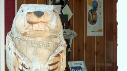 Toast, la société qui recouvre vos appareils de bois