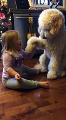 Adorable : Une fillette apprend à son chien à serrer la main
