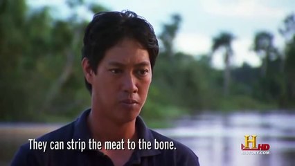 National Geographic Documentary Discovery Channel The Amazonian Piranha