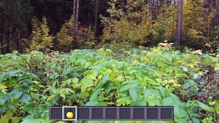 Майнкрафт в Реальном Мире - Minecraft in Real Life