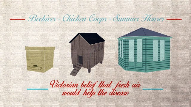 Waltons - Our history