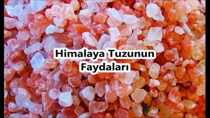 Himalaya tuzu Kaya Tuzu Çankırı