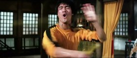Elvin Siew Chun Wai- Bruce Lee Best Fighting Scenes Ever Vol.8