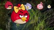 Finger Family Angry Birds Nursery Rhyme , Animated cartoon watch online free 2016