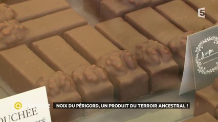 Noix du Périgord, un produit du terroir ancestral !