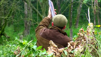 The Shooting Show corvid clean up and Geco ballistic bone test