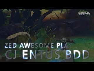 비디디 제드 하이라이트 (BDD Zed Highlight | KR C1)