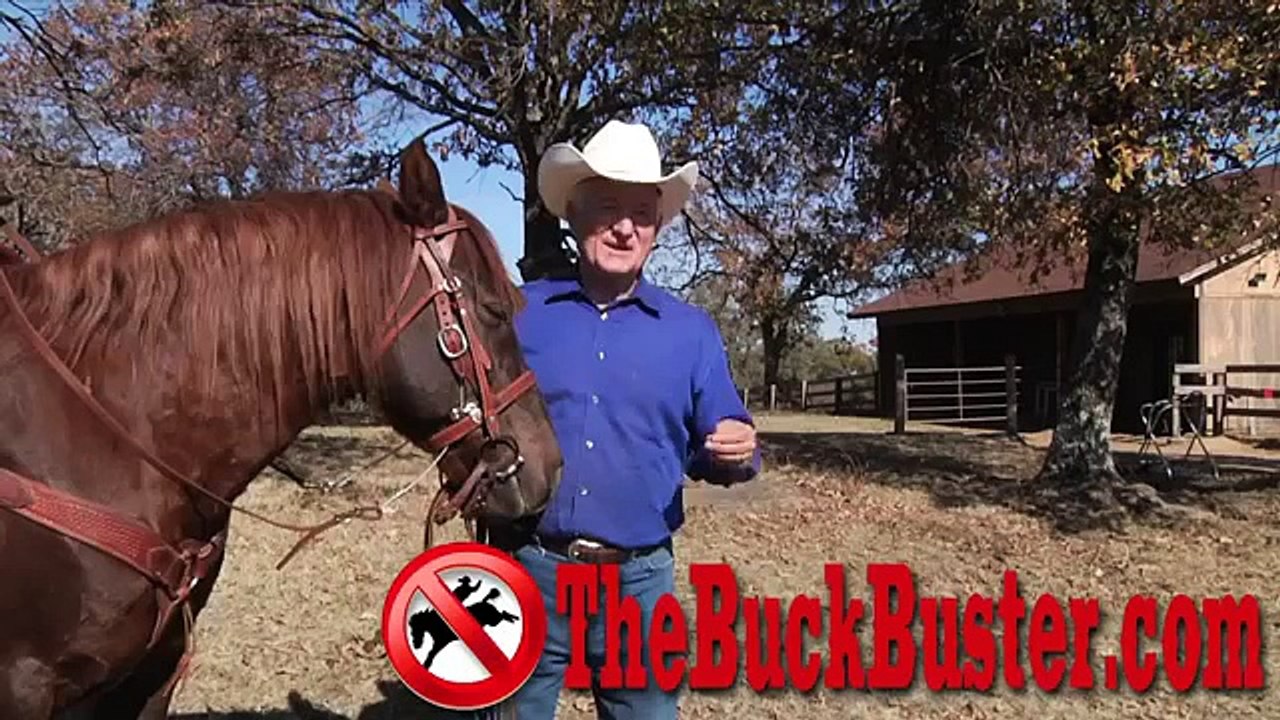 Horse  Training-