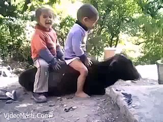Funny Little Kids Playing With Cow Fail