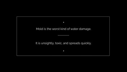 Mold Removal Casselberry FL 407-218-5862