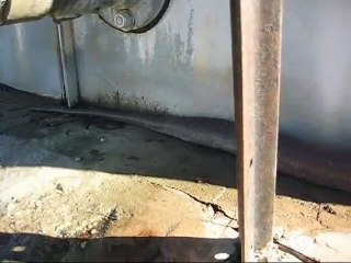 Gaint Dead Snake found