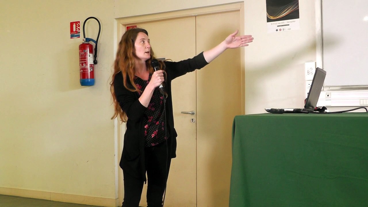 Melanie Davranche -Variabilité des spectres de terres rares : Signatures des processus environnementaux