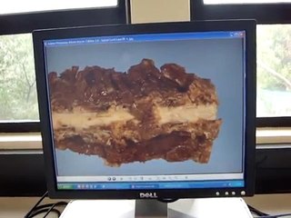 Veterinary Pathology