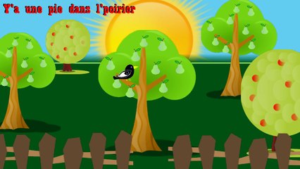 Y'a une pie dans l'poirier
