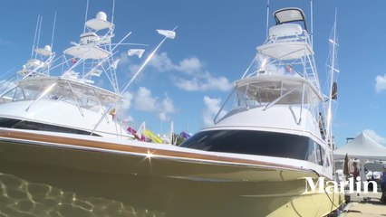 Spencer 62 Gratitude