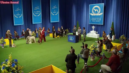 Best Funny Super Bowl XLVIII Ads of 2014