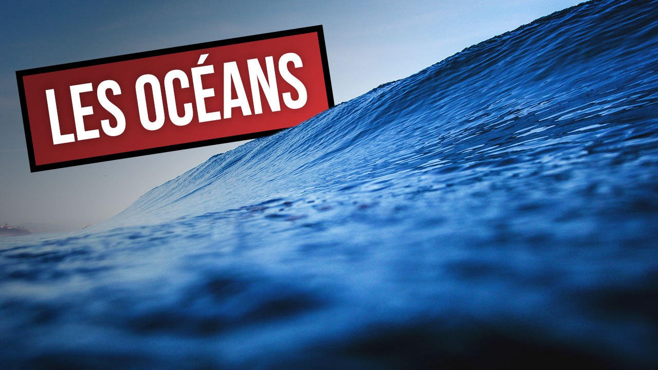 Des océans si grands et pourtant si fragiles - DES CHIFFRES ET LE MONDE