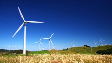 Think Like a Tree - What Can a Humpback Whale Teach a Wind Turbine?