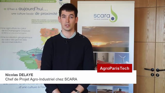 IDEA - Débouchés et emplois