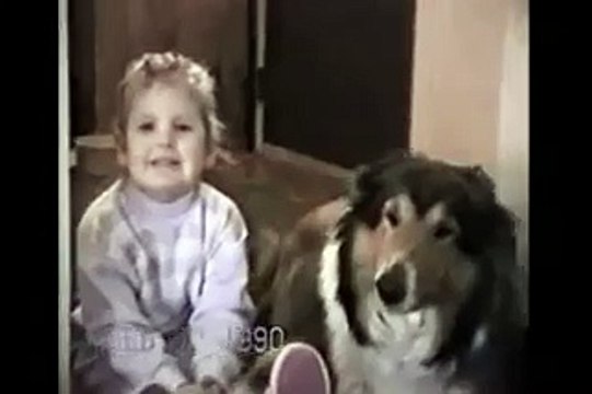 Dog Smiles When Picture Taken