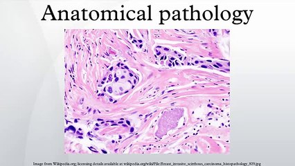 Day in the Life - Anatomical Pathology - Dr Adrienne Morey
