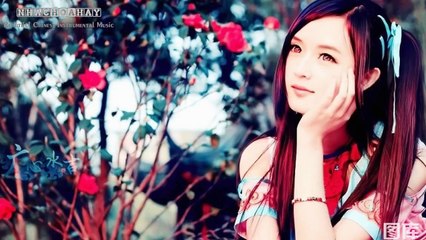 Beautiful Chinese Instrumental Music【51】Perfume Has Poison