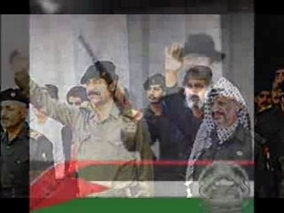 صقر العرب