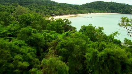 Survivor - Second Chance Ponderosa Kelly Wiglesworth