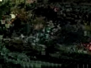 Hacked libavcodec playing Matrix: Reload