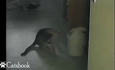 И наступает ночь...