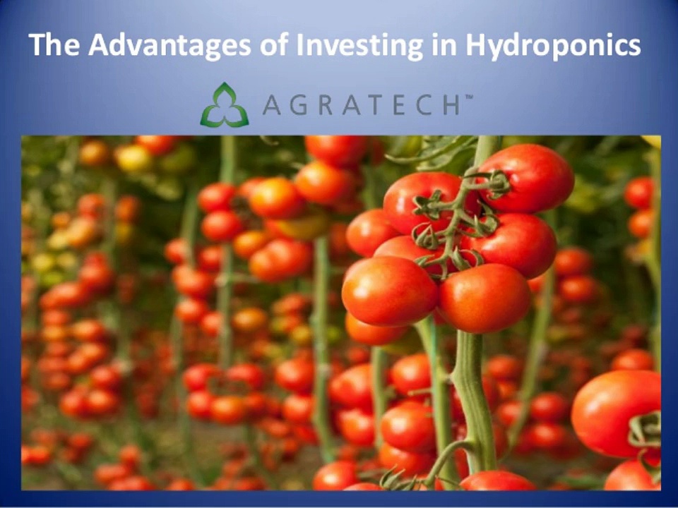 Advantages of Investing in Hydroponics