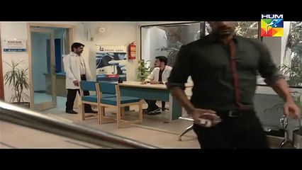 Sangat Full Episode 14 on Hum Tv - 19th November 2015