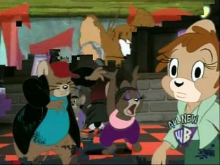 24 - DJ Jerry, Kitty Cat Blues, Flamenco Fiasco