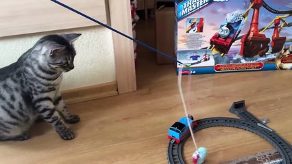 Thomas the Tank Engine & Friends Tomas el Tren en Español NEW HD