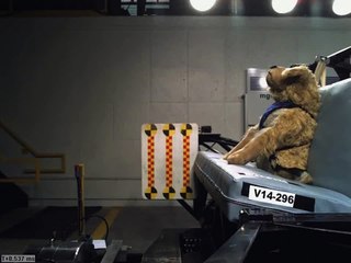 75 фунтов собаку Манекен для краш-тестов Solvit