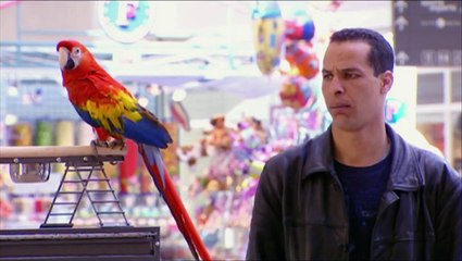 Parrot Gets Flirty - Throwback Thursday | Viral Crazy Prank