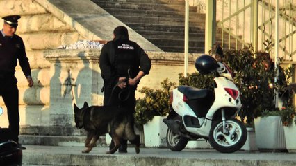 Report TV - Siguria në vijën e "kuqe", 1500  policë me kallashnikov në terren