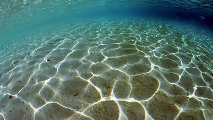 Забавные Кошки! Веселая Видео Подборка 2015/ №11