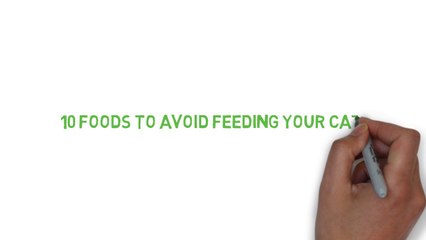 10 food to avoid feeding your cat