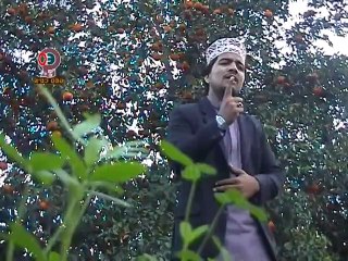 04 Sary Jag Di Jan Sona Aa Gaya (By Irfan Kanwal Faridi)