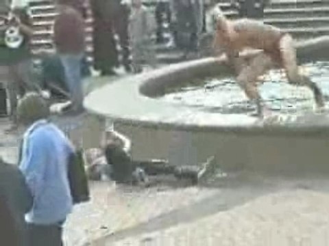 Maître Nageur Sauveteur