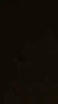 Saudi Arabia Flying horse news